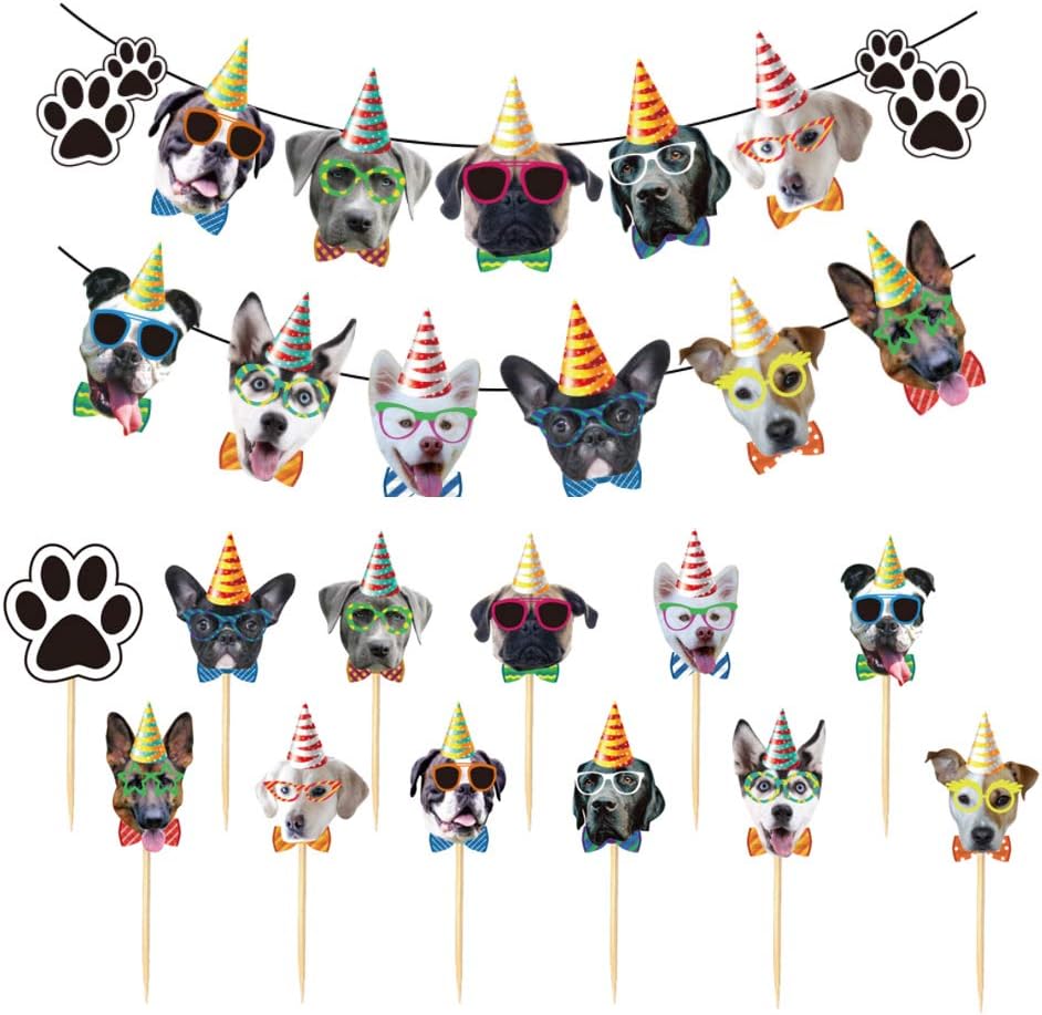 torta di compleanno per cani