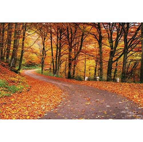 Toile De Fond Automne 5x7 Pieds - Paysage Feuilles Jaunes, Pour Photo Studio, Décorations