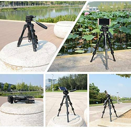 Mini Tripod Phone Tripod, Desktop Tripod, ZOMEI Q100 21-inch Lightweight Aluminum Camera Travel Tripod with 1/4" Quick Release Plate, 3-Way Pan Head and Phone Holder Mount
