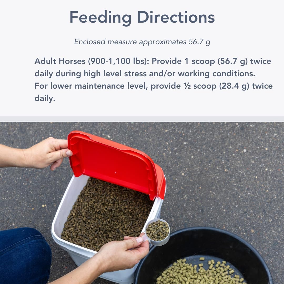 5-in-1 H/A (40lb) All in One Support for Horses.