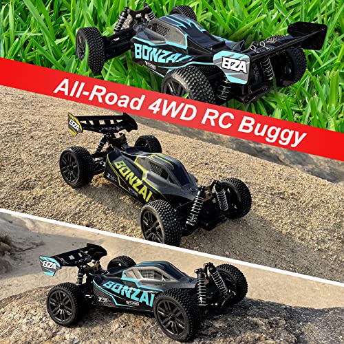 Exbonzai Remote Control Car 1/12 Hobby Rc Buggy 4Wd Rtr Off-Road Rc Drift Car For Adults High Speed Racing Rc Cars With 2 Batteries Aluminum Alloy Shock Tower, Kraze (Blue, 1/12) #TOP5