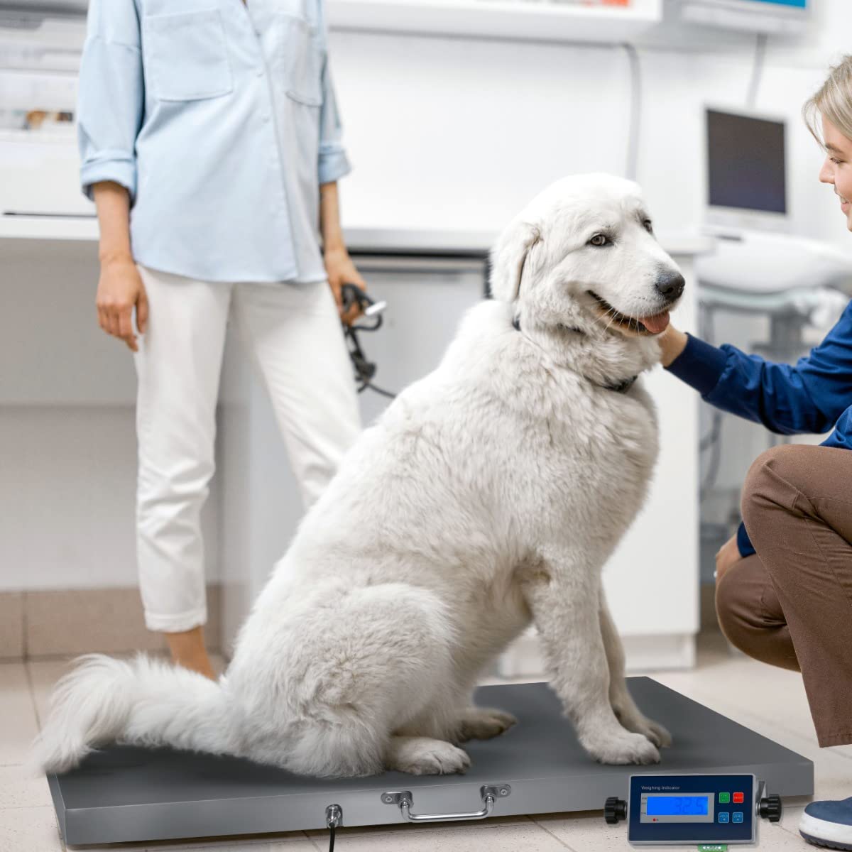 Balanza Electrónica Digital Veterinaria 300kg (kg/lbs) Báscula de Precisión Plataforma Industrial para Pesar Paquetes Envíos Mascotas Ganado Animales Agrícolas con Pantalla LCD,Batería Recargable
