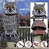 Hausse 2 Pack Fake Owl Decoys to Scare Birds Away, Rotating Head Plastic Owl Bird Deterrents, 10.6 Inch Height Bird Scarecrow Nature Enemy Horned Pest Repellent for Outdoor Garden Yard