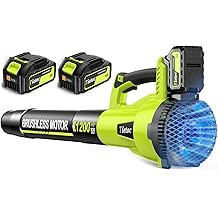 Tietoc 吹叶机 无绳,1200W 无刷电动吹叶机,带 2 X 4。0Ah 电池,6 速强力吹叶机,适用于花园、庭院、草坪护理、送给男人的礼物 爸爸 丈夫 父亲（浅绿色）