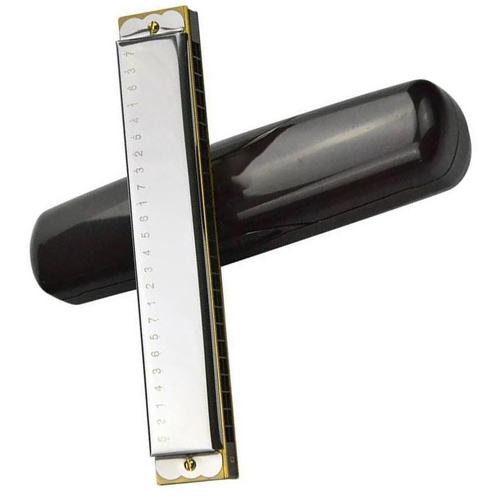armonica a bocca Armonica Tremolo A 24 Fori Chiave C Arpa Scala Strumento Musicale Organetto A Bocca