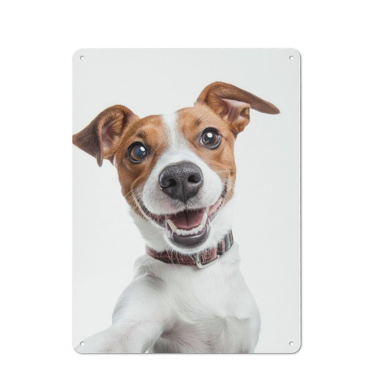 Junmoney Smiling Jack Russell Selfie Dog Tin Wall Plaque 40X30cm With For Home Bar Wall, For Hosts Who Enjoy Retro Interiors