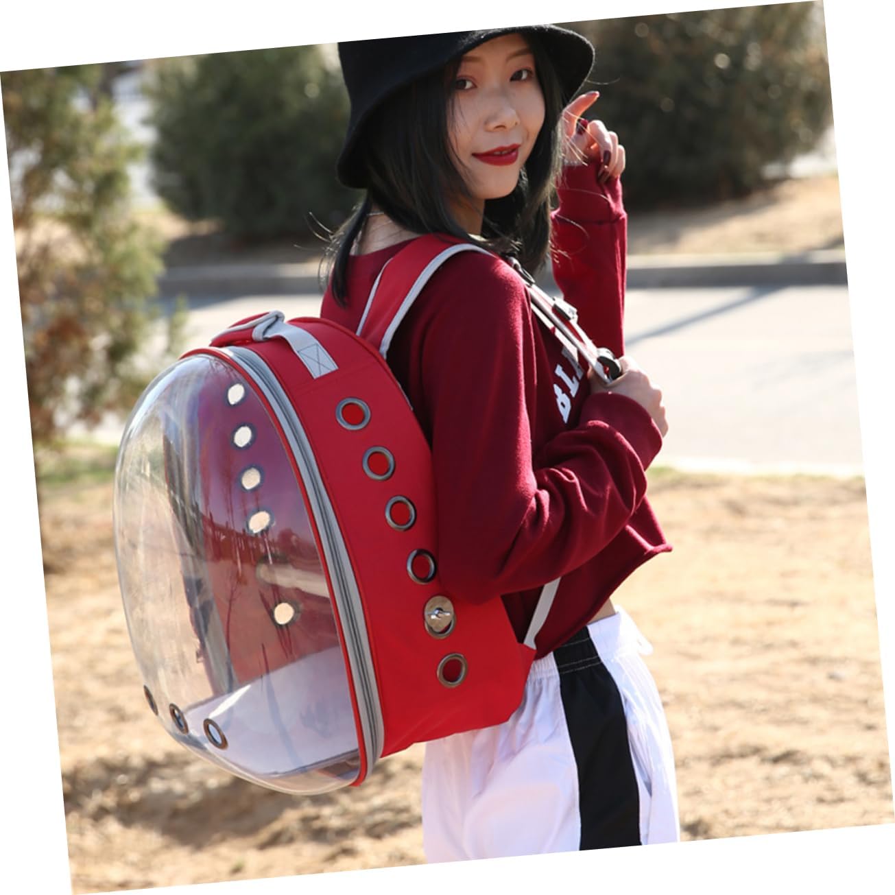 Portable Pet Backpack for Birds Breathable Capsule Carrier Ventilation and Inner Wooden Bar for Outdoor Travel Red Transparent Parrot Bag