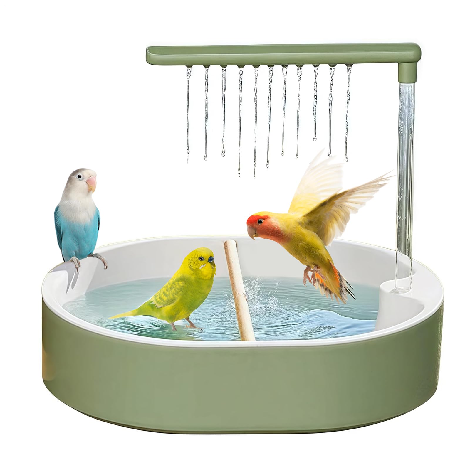 Douche oiseau pour perruche : offrez un moment de bonheur et de complicité à vos perroquets