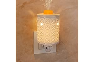 2-in-1 Scentsy Plug in Wax Warmer