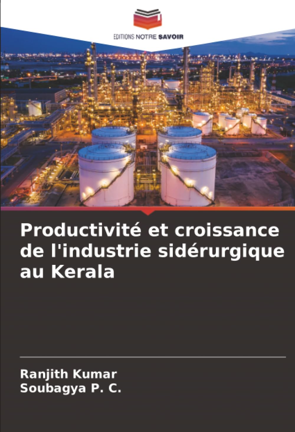 Productivité et croissance de l'industrie sidérurgique au Kerala