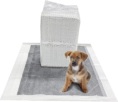 Almohadillas de carbono para orina para mascotas XL 20 unidades 24 x 36 pulgadas almohadillas con superficie de secado rápido sin olor almohadilla