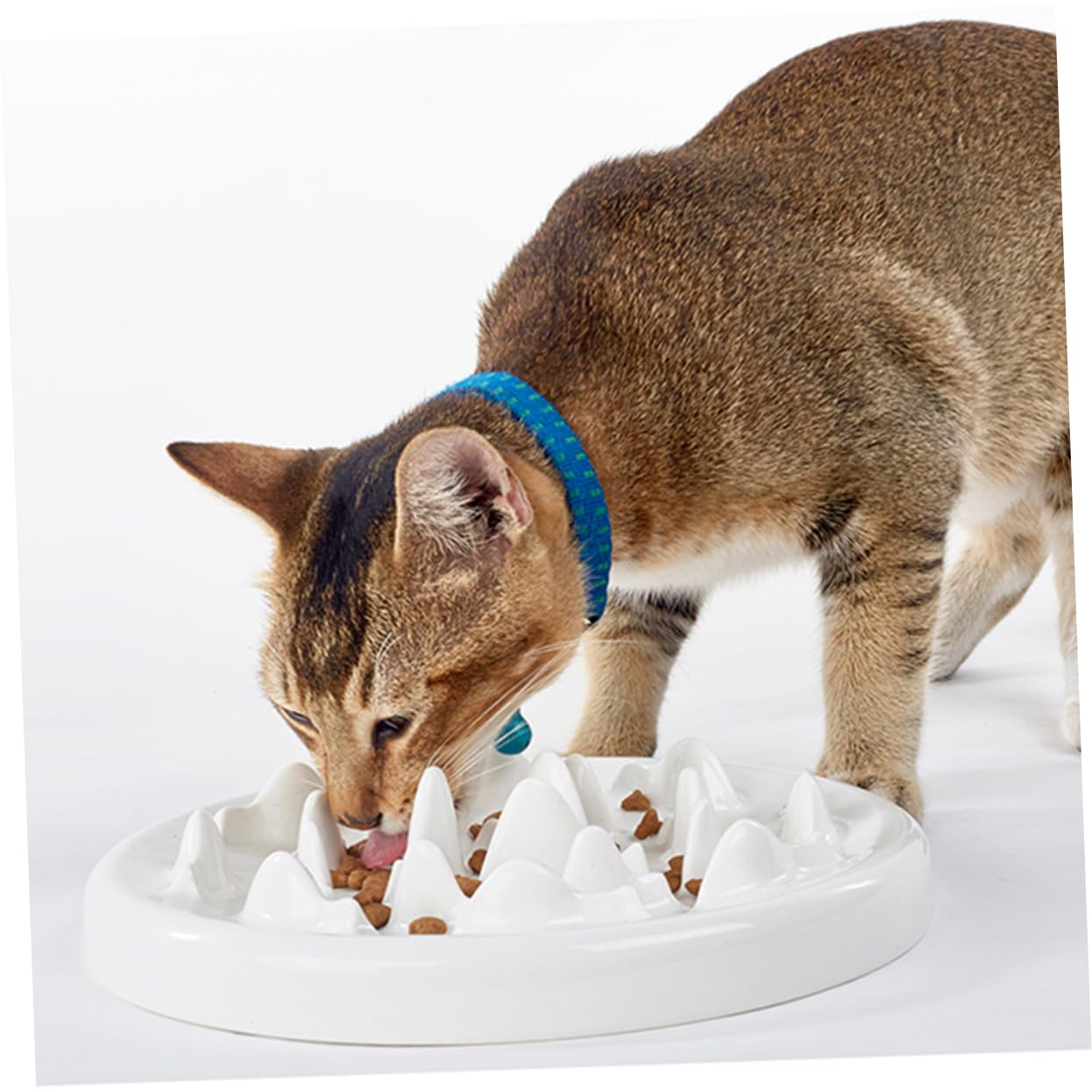 Ciotola per Gatti in Ceramica a Ingozzamento Lento Bianca | Forma a Labirinto, per Alimentazione di Cane e Gatto, Anti-odore e Anti-urto