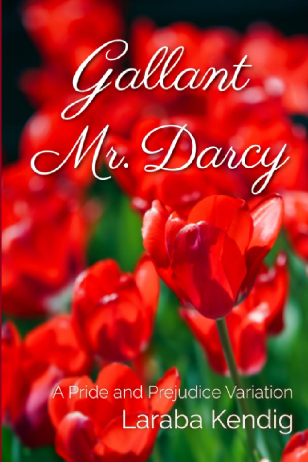 Gallant Mr. Darcy: A Pride and Prejudice Variation