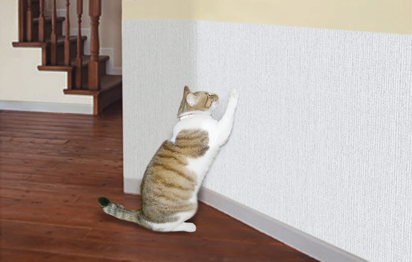 Amazon.co.jp: 明和グラビア ペット(犬猫)ツメ傷保護シート 92×90cm IN