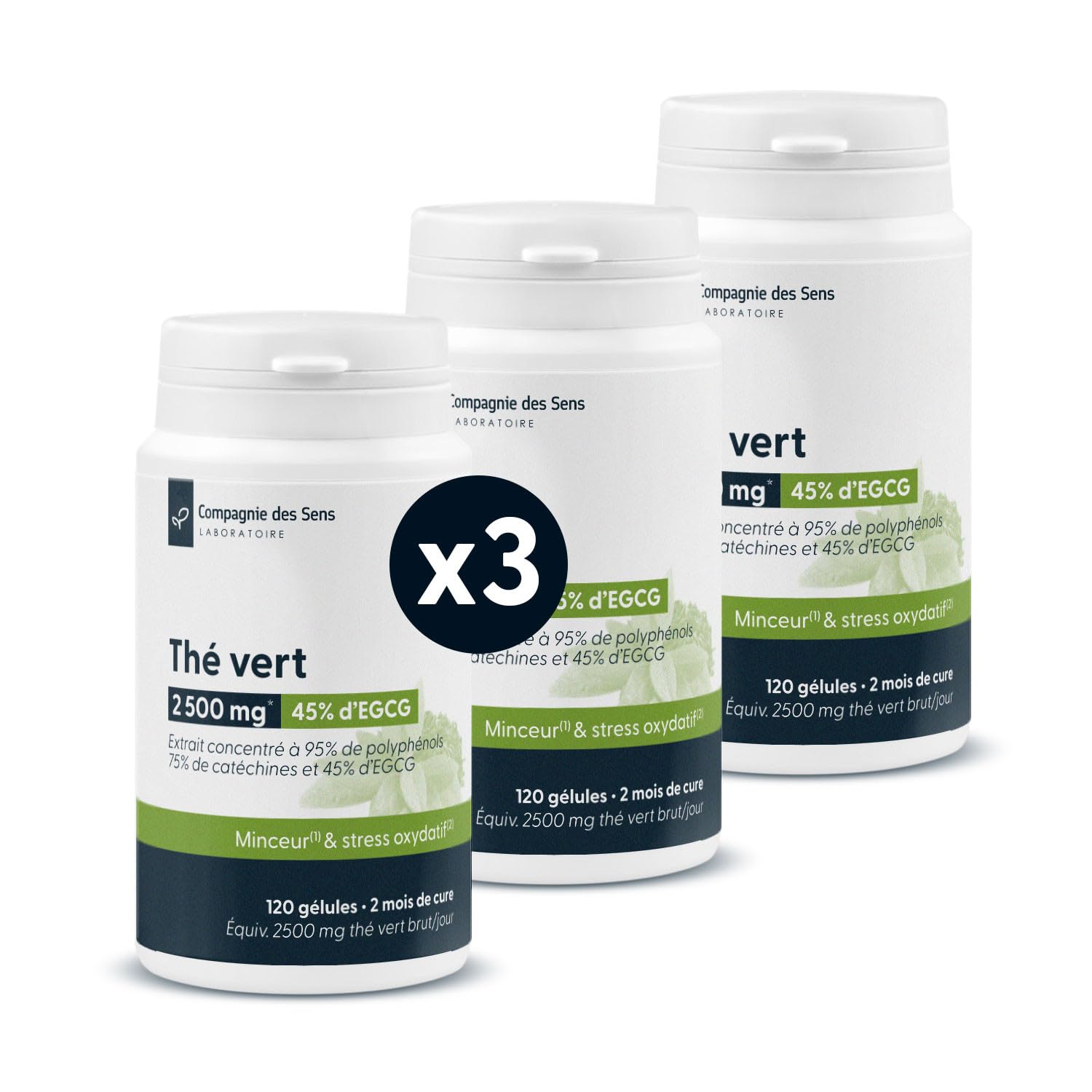 La Compagnie des Sens - Thé Vert Concentré 500 mg/jour - Triple Titrage 95% Polyphénols, 45% EGCG - 360 gélules végétales (6 mois) - Fabriqué en France