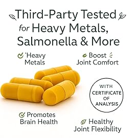 Me First Living Turmeric Curcumin 1000 mg 95% Curcuminoids, Bioperine 10 mg, 19x More Potent Than Others, Increased Absorption, Non-GMO, Organic Turmeric, Vegan, Gluten Free, 60 Capsules