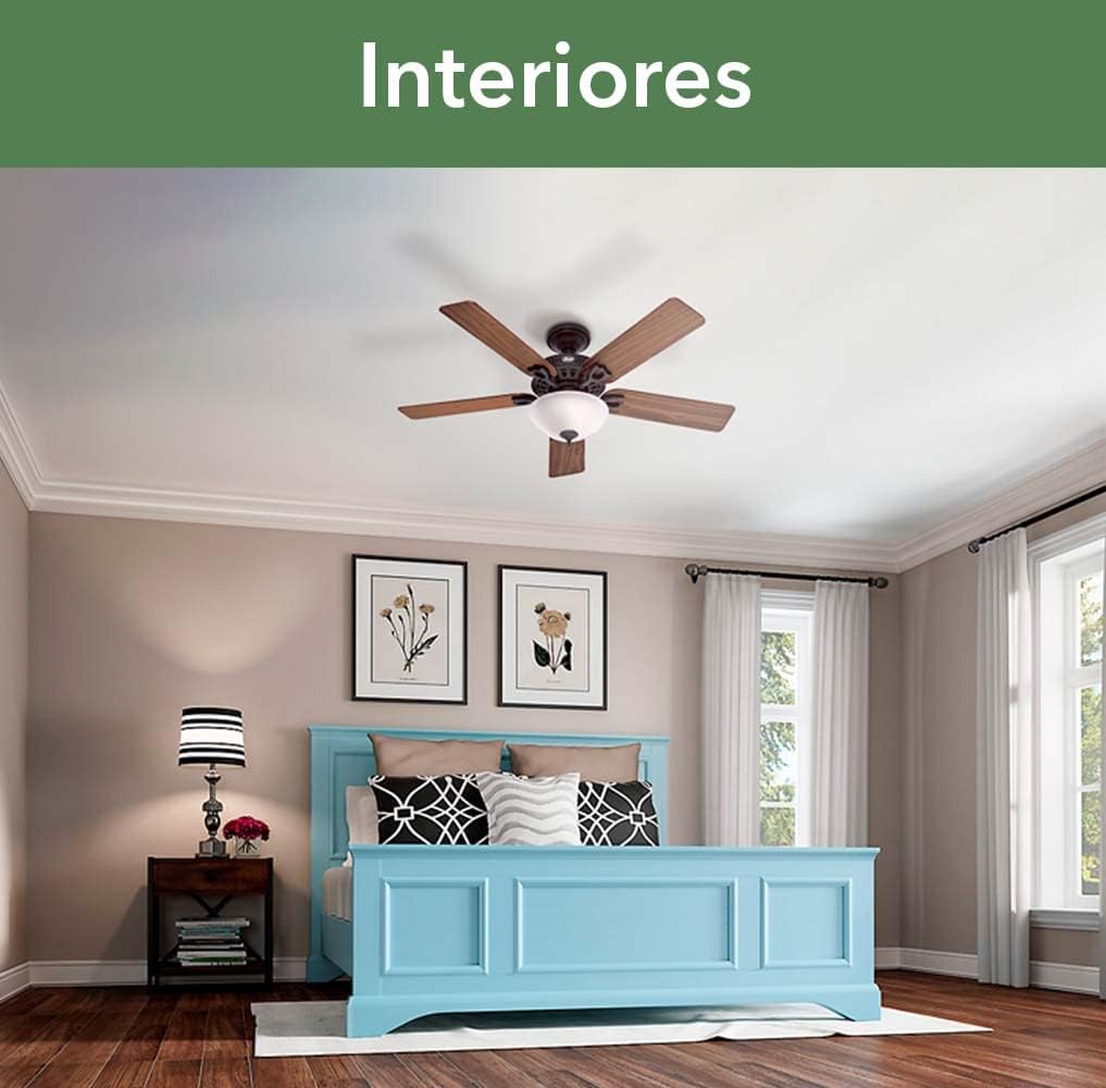 Popular Hunter Astoria Indoor Ceiling Fan with Lights and Pull Chain Control