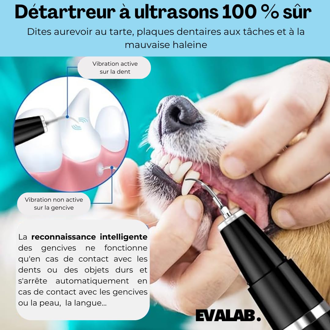 Cepillos de dientes para perros y gatos – Kit de detartrage dental – para limpiar los dientes de perros y gatos