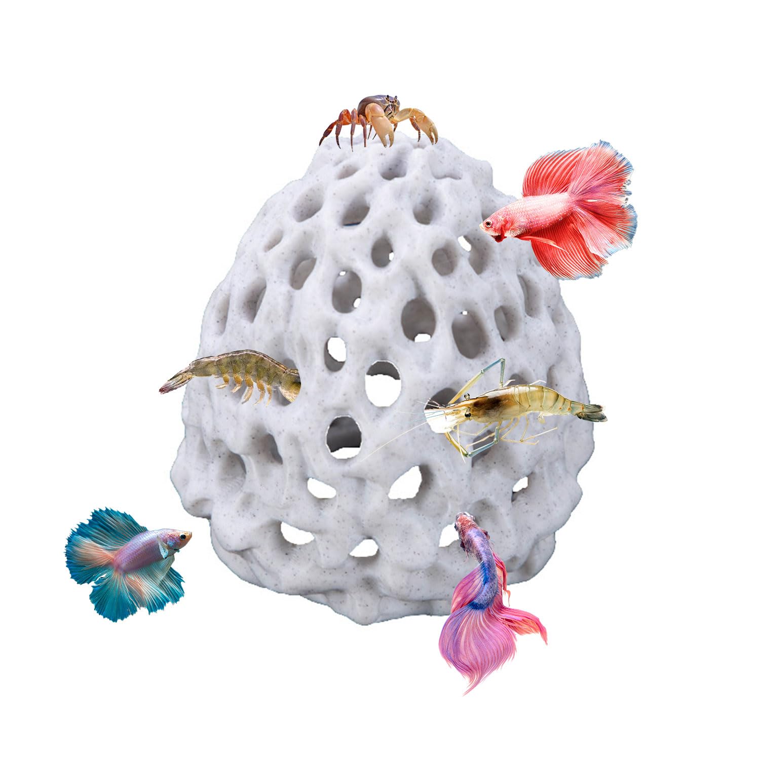 JOYOLA Shrimp Dome Hide, Shrimp Hide Cave for Aquarium, Fish Tank Tunnel with Suction Cup Plastic Porous Designed Floating Betta House for Small Fish Shrimp Guppy Hiding Resting