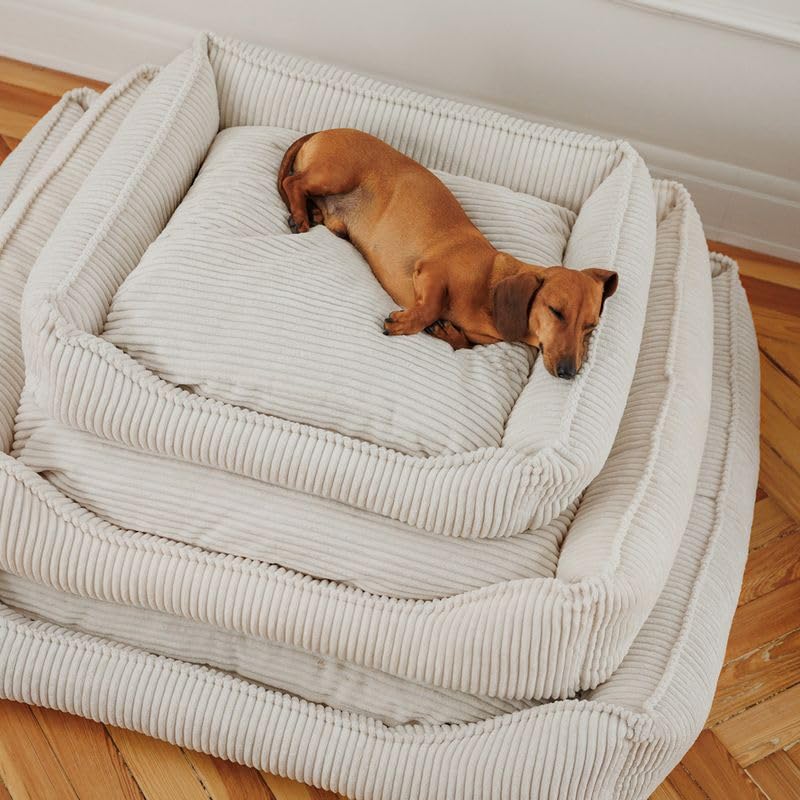 Modern Living Hundebett Helena | Komfortables Hundebett für kleine bis große Hunde | stilvolles Breitcord-Design | mit Memory Schaum gefüllt, Abnehmbarer Bezug (Beige, 65x60x18cm)