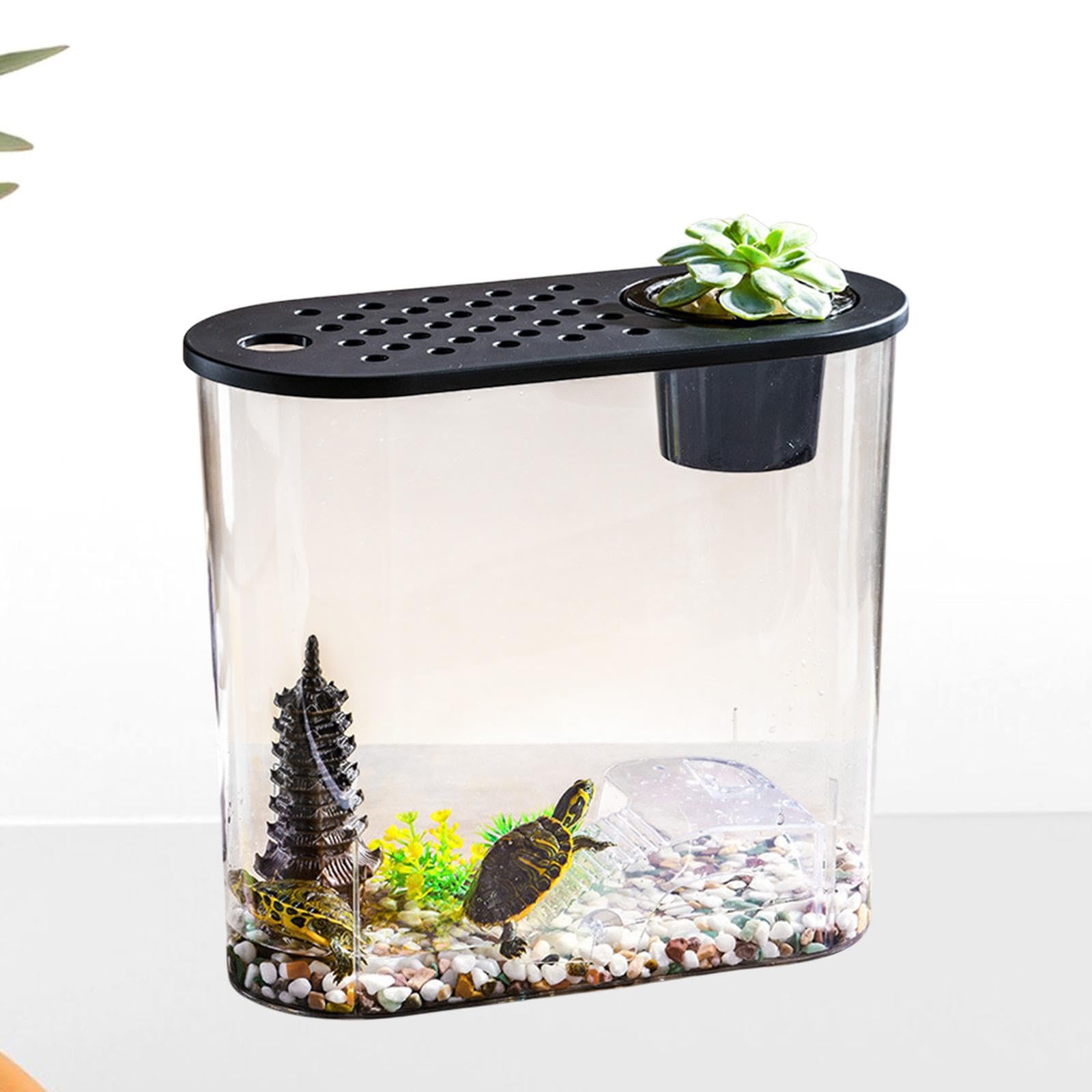 Aquarium Petit Contenant à Poissons de Bureau Mini avec Fenêtre Claire Matériel PP Couvercle Ventilé Détachable Utilisation Hydroponique pour, Couvercle Noir