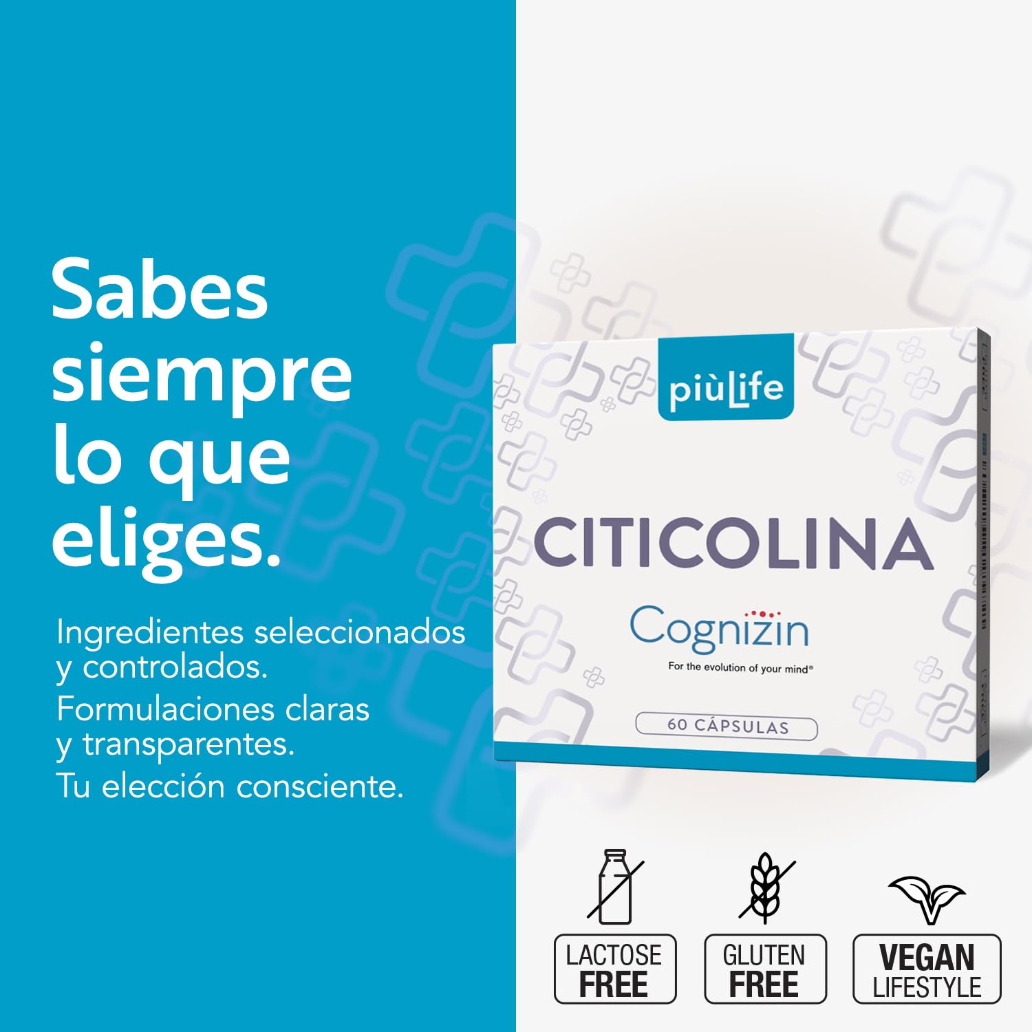 Citicolina 500mg Cognizin PiùLife, 60 Cápsulas, Suplemento Memoria Y Concentración, CPD-Colina Capsulas Para La Memoria, 2 Al Día, Sin Gluten Y Sin Lactosa