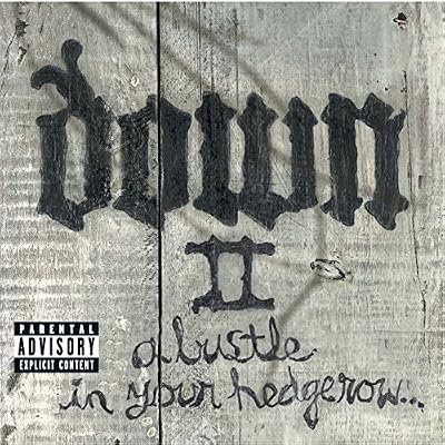 Down II - A Bustle in Your Hedgerow...