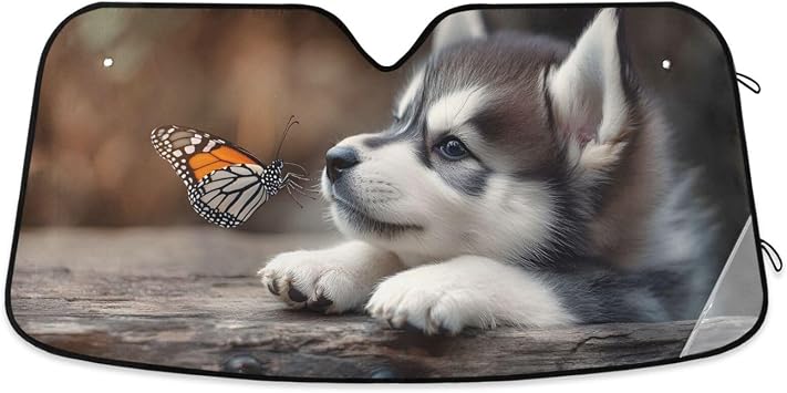 Little Husky Car Windshield Sunshade, Foldable Auto Sun Visor Polyester+Aluminum Foil Heat Shield for UV Protection for Cars/SUVs/Trucks Easy Install and Storage Large