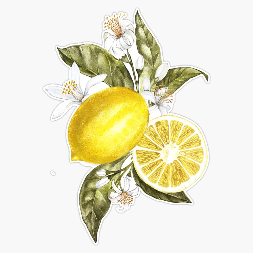 Lemon And Plant Pattern Vinyl Sticker Waterproof Bumper Sticker Laptop Window Decal 5"