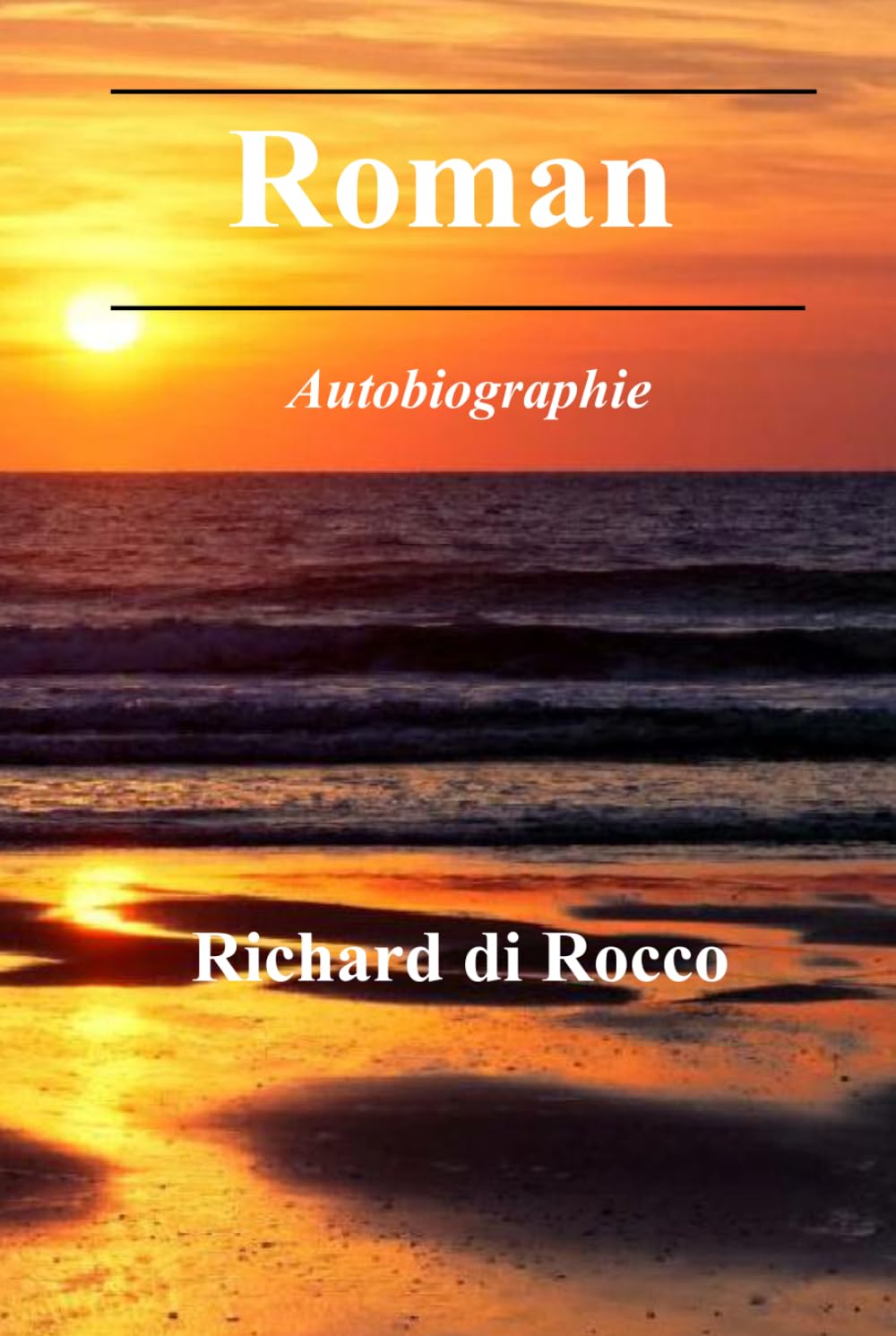 Roman: Autobiographie illustrée