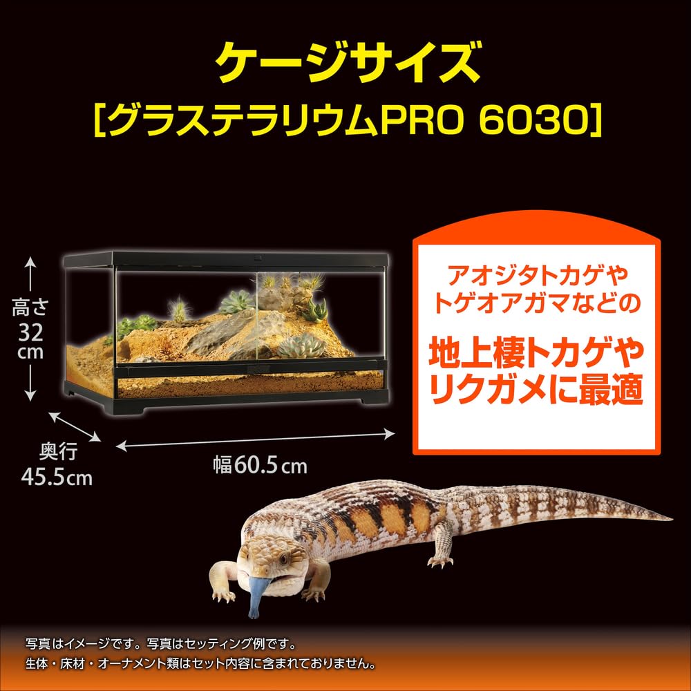 Amazon | 【ジェックス】フトアゴ&リクガメ飼育キットGTP6030 | ペット