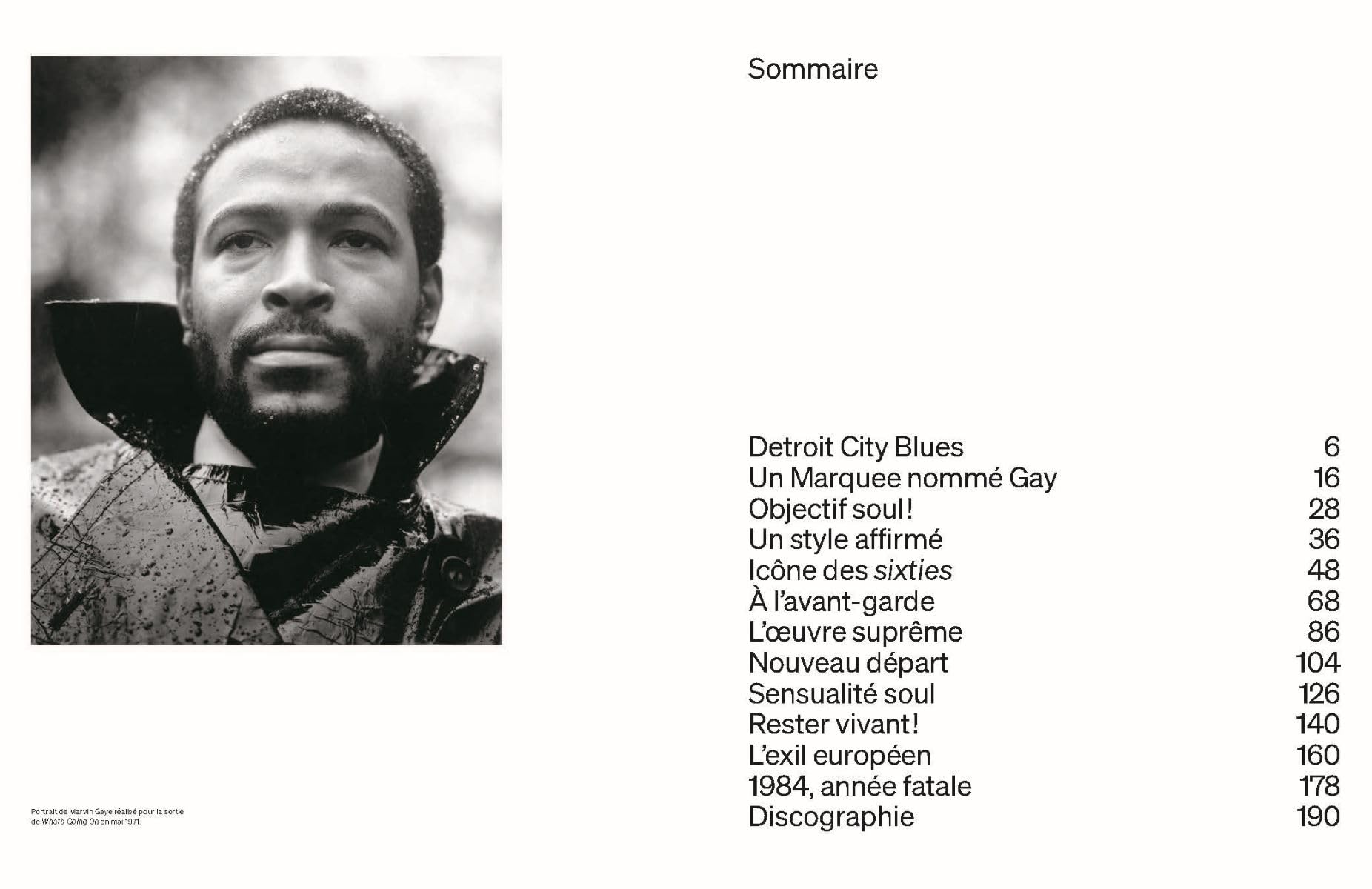 Marvin Gaye, le dandy de Motown