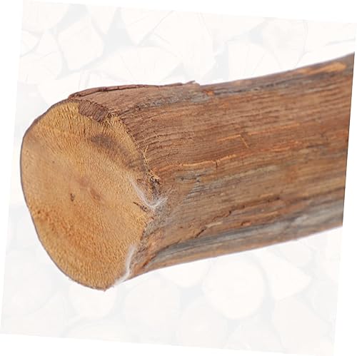 Miniatura 8 de Soporte de madera de uva dragón barbudo juguete succión árbol rama lagarto suministros decoración terrario