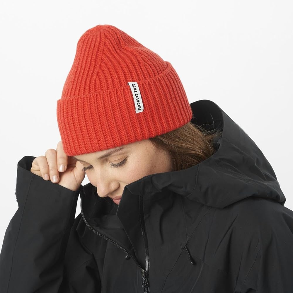 Amazon.co.jp: [サロモン] スキー スノーボード ニット帽 SNOWBIRD