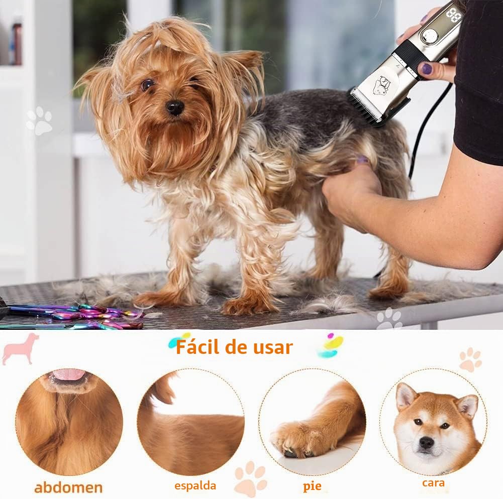 KAEFUYS 5 en 1 Máquina Cortar Pelo Mascotas Recargable IPX7 Impermeable Silenciosa y Velocidad Ajustable Cortapelos para Perros Profesional con Cortaúñas Peine Lima Tijeras y 6 Peines