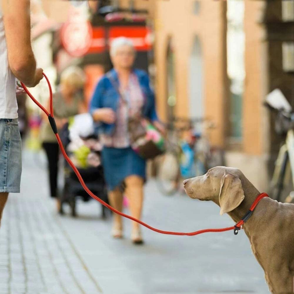 Smycze Dla Zwierząt Domowych Nylonowa Smycz Dla Psa Pet Puppy Walking Training Smycz Dla Psa Pasek Obroża Dla Psów Artykuły Dla Zwierząt Domowych Artykuły Dla Zwierząt(Blue,1.0 * 140cm)