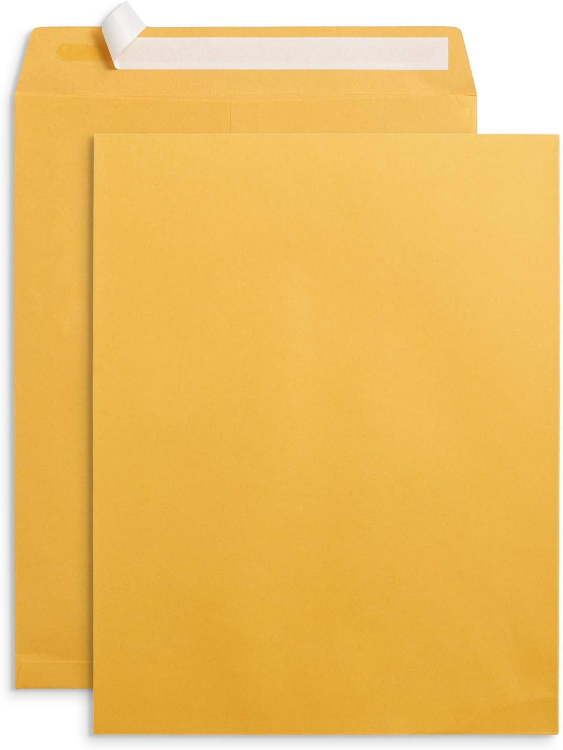 Blue Summit Supplies 100 10” x 13” Catalog Envelopes, Self
