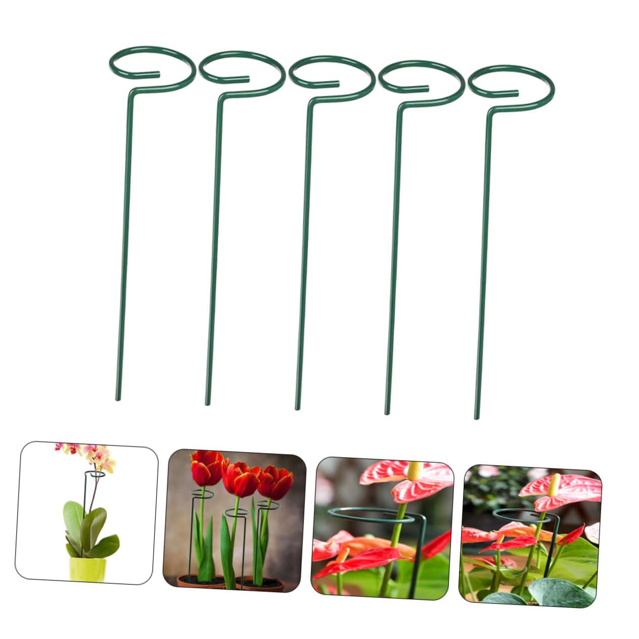 BESTonZON 2 Sätze Schmiedeeisenpflanze -stützrahmen Zimmerpflanzen Gartenpflanzenregale Unterstützung des Blütenstiels Unterstützen Sie Die Blumeneinsätze Blumenstammpfahl Grün 5 Stücke * 2