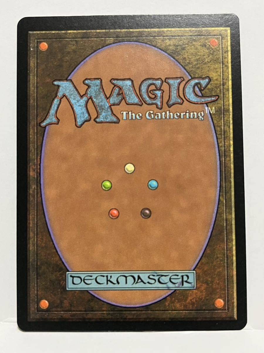 Amazon.co.jp: Intuition Japanese Version MTG Tempest Beauty