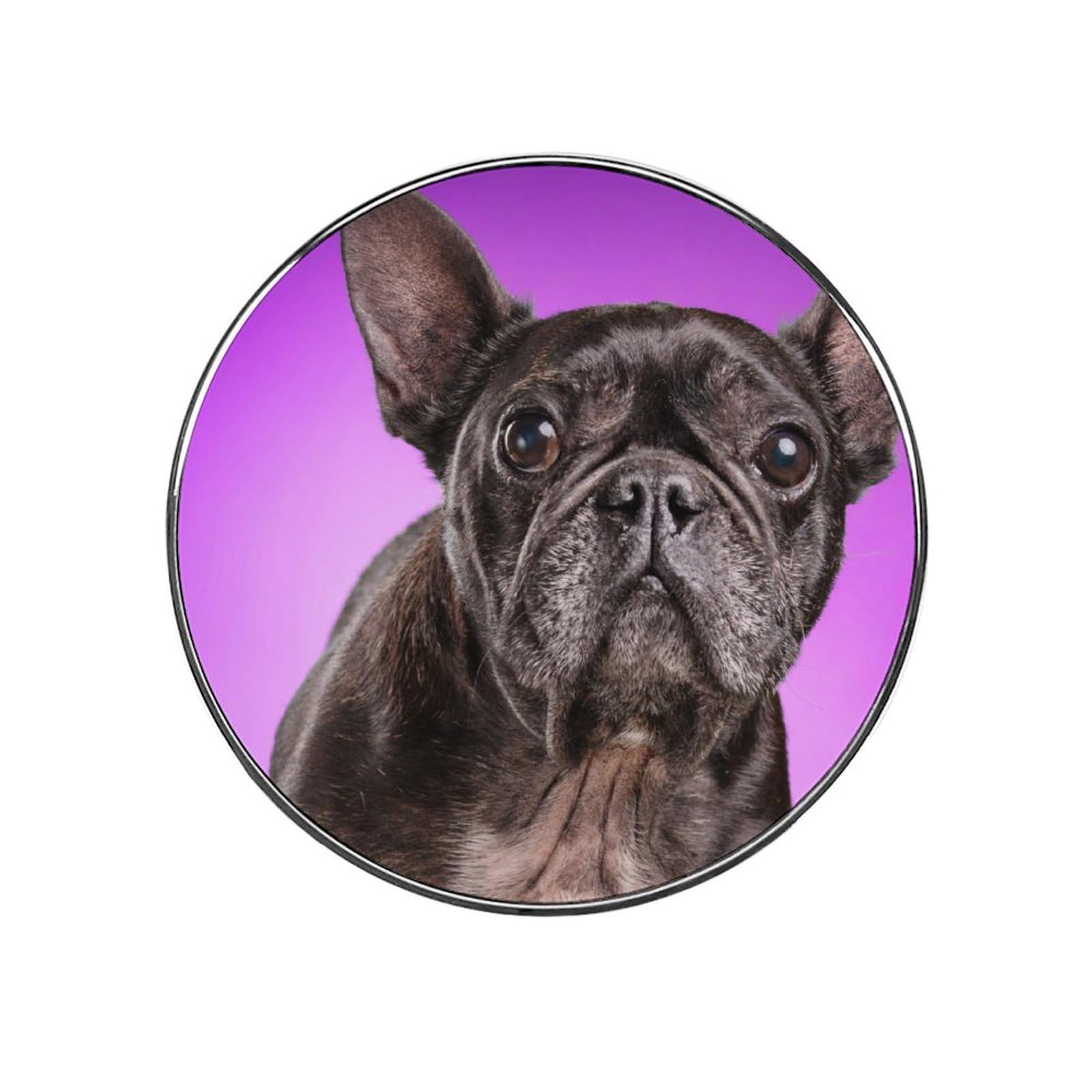 Black Bulldog Alloy Fridge Magnet For Office Cabinet Refrigerator Whiteboard Photo