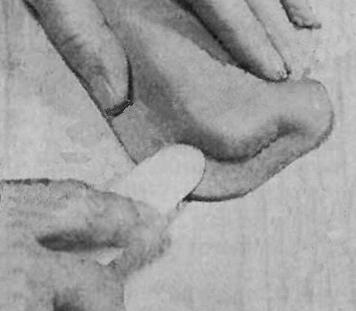 Creative 93300 Table Display, Natural Decoration, 7400 mm Height, 4400 mm Width, 2500 mm Depth