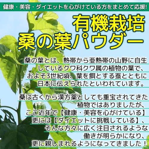 ヘルシーカンパニー 国産桑の葉パウダー100g