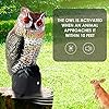 Ruolan Brid Owl Keep Birds Away,Owl Decoy with Flashing Eyes&Frightening Sound for Garden Yard Outdoor