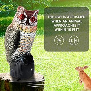 Ruolan Brid Owl Keep Birds Away,Owl Decoy with Flashing Eyes&Frightening Sound for Garden Yard Outdoor