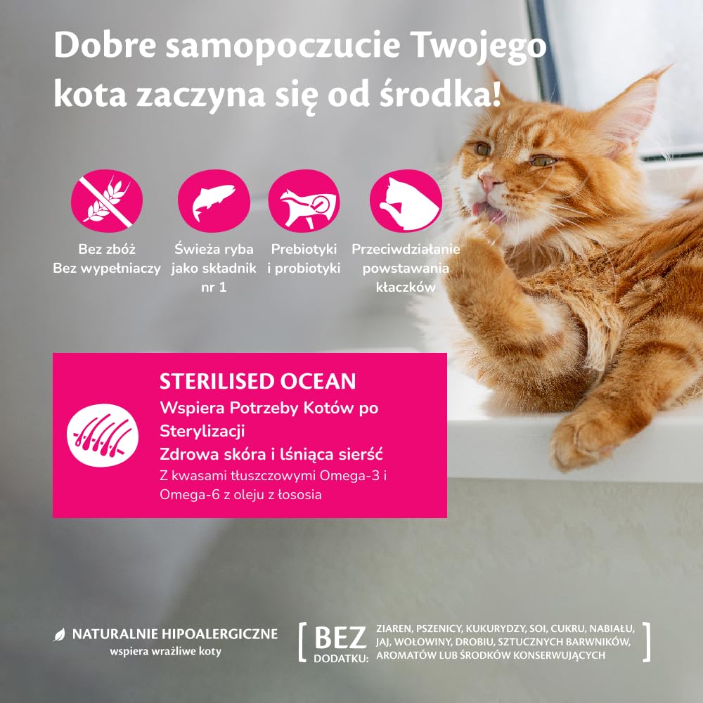 Wellness CORE Sterilised Ocean 4 kg, Łosoś – Sucha Karma dla Kotów Sterylizowanych, Bezzbożowa, Naturalna, Hipoalergiczna, Bogata w Białko, o Wysokiej Zawartości Ryb, Zdrowa Skóra i Lśniąca Sierść