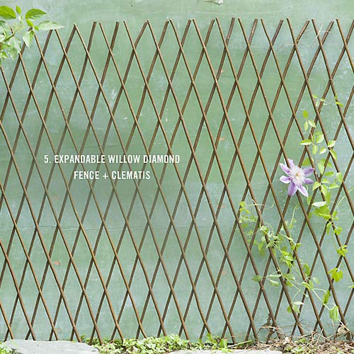 BYBAG Natural Lattice Willow Trellis Fence for Climbing Plants,Expandable Garden Fence Wall Panel, Outdoor Decorative Wood Fence (4 Pieces)