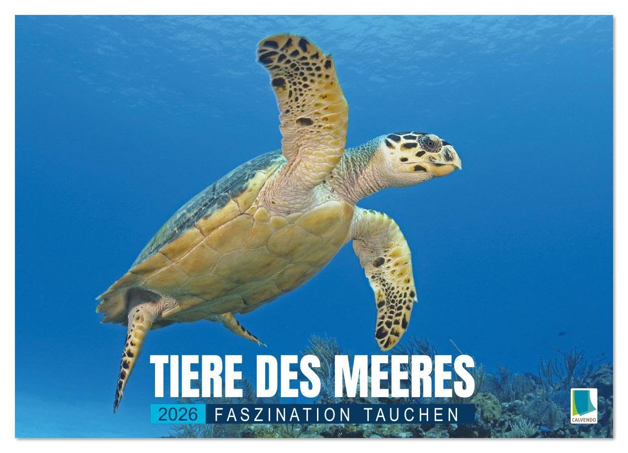Tiere des Meeres: Faszination Tauchen (Wandkalender 2026 DIN A2 quer), CALVENDO Monatskalender: Haie, Wale, Delfine: Tauchen Sie ab in die blaue Tiefe (CALVENDO Tiere)