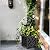 Trenton Gifts Chippendale Planters. Set of 2 .Black. Great for Outdoor Decor, Patio and Lawn Plant Holder