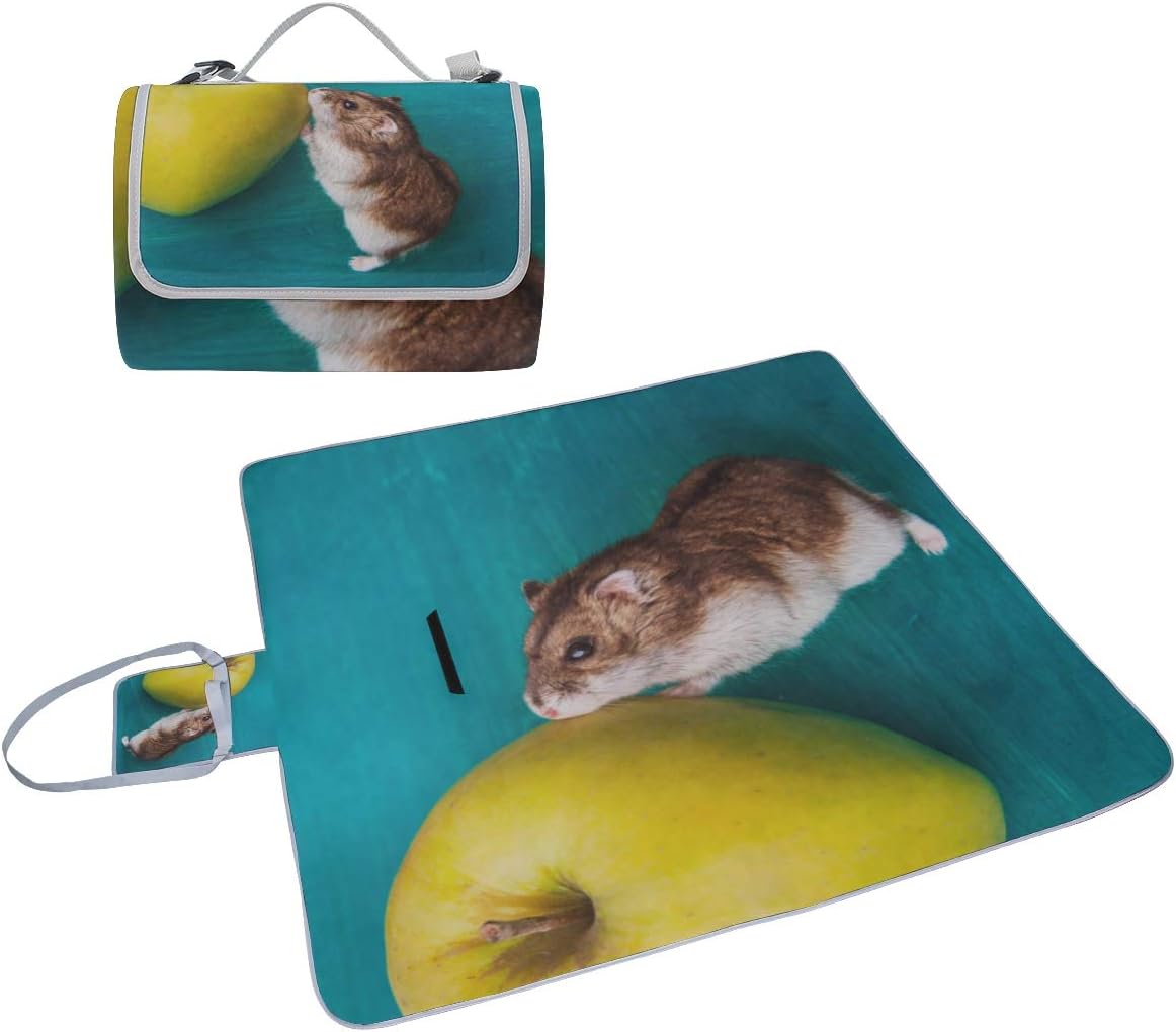 レジャーシート すばしこい ハムスター ピクニック 折りたたみ 撥水 アウトドア クッション マット コンパクト 花見 運動会 キャ