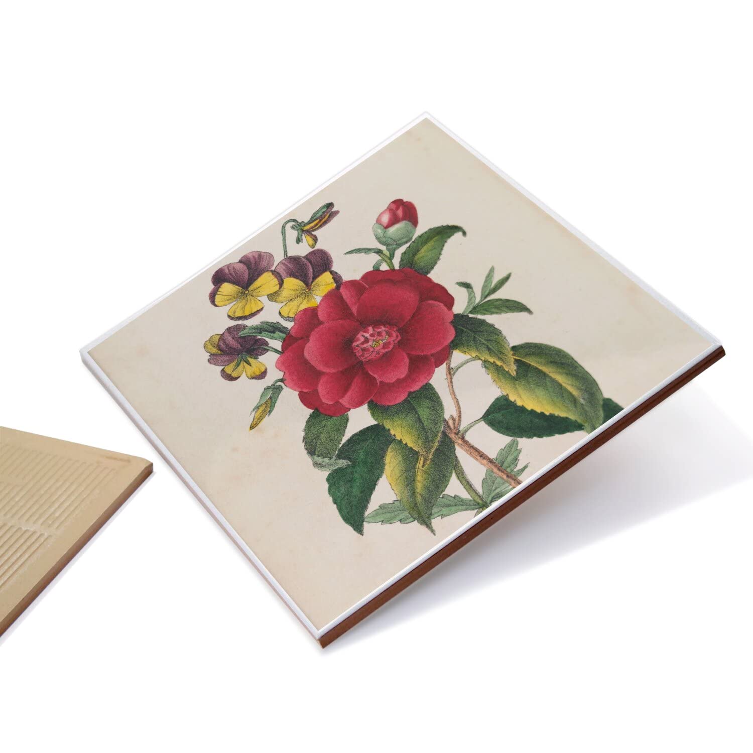 Piastrella Decorativa 20x20 Cm - Stampa Tuberosa Antica, Design Botanico, Con Adesivo Per Parete - Foto 3